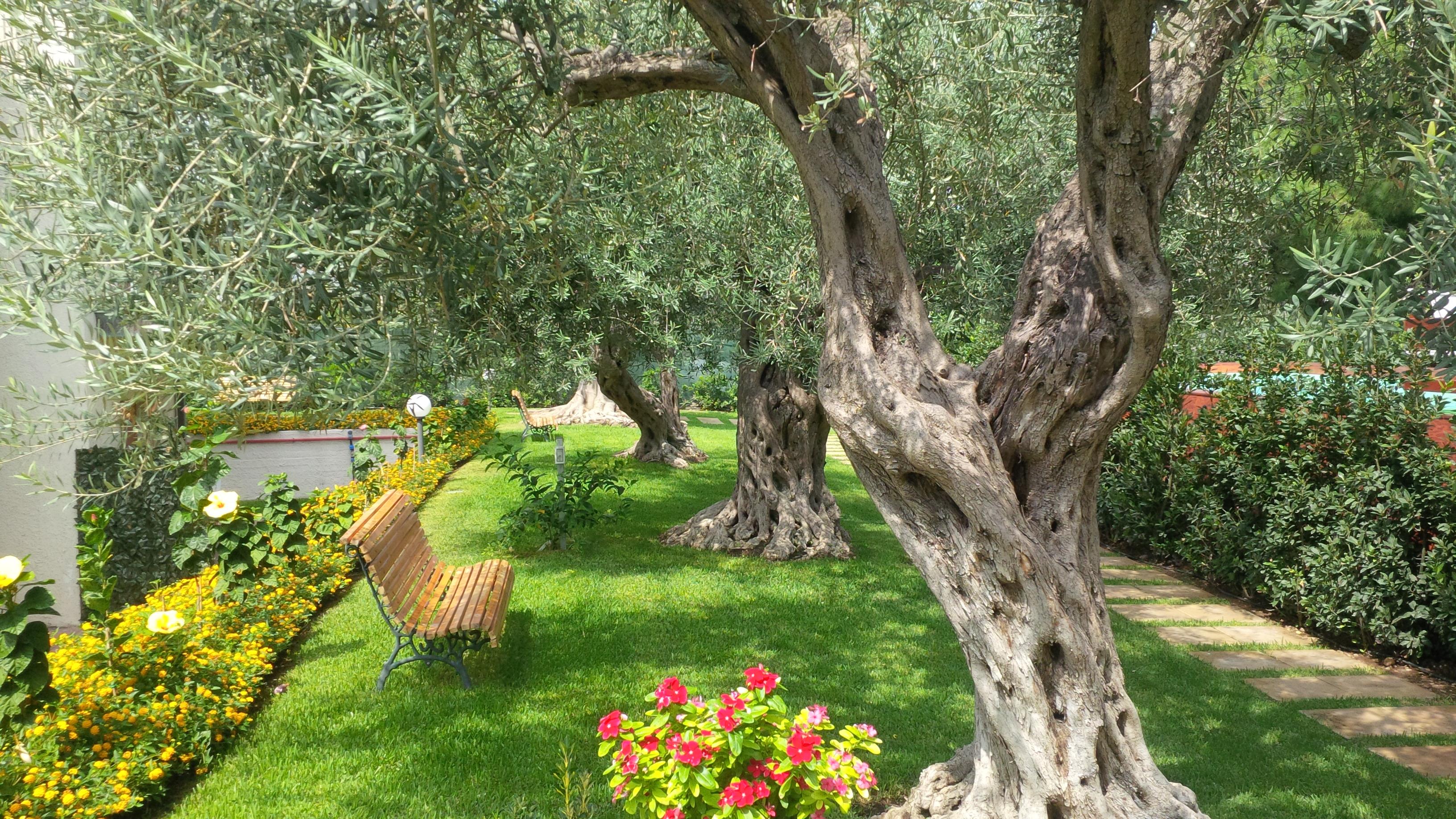 Villa Collina Giardini-Naxos Exterior foto